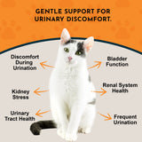 Tinkle Tonic Herbal Tonic Blend | Urinary Tract Support