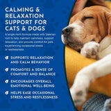Valerian Herbal Tonic | Promotes Calming Effect