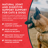 Yucca Herbal Tonic | Maintain Joint Mobility & Digestion