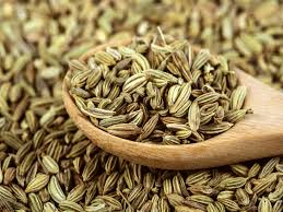 Fennel Seed (Foeniculum vulgare)