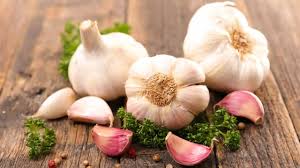 Garlic (Allium sativum)