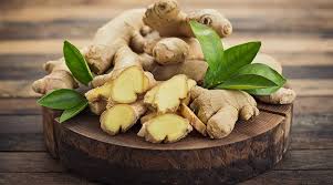 Ginger Root (Zingiber officinale)