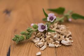 Marshmallow Root (Althaea officinalis)