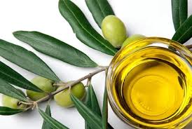 Olive Leaf Extract (Olea europaea)