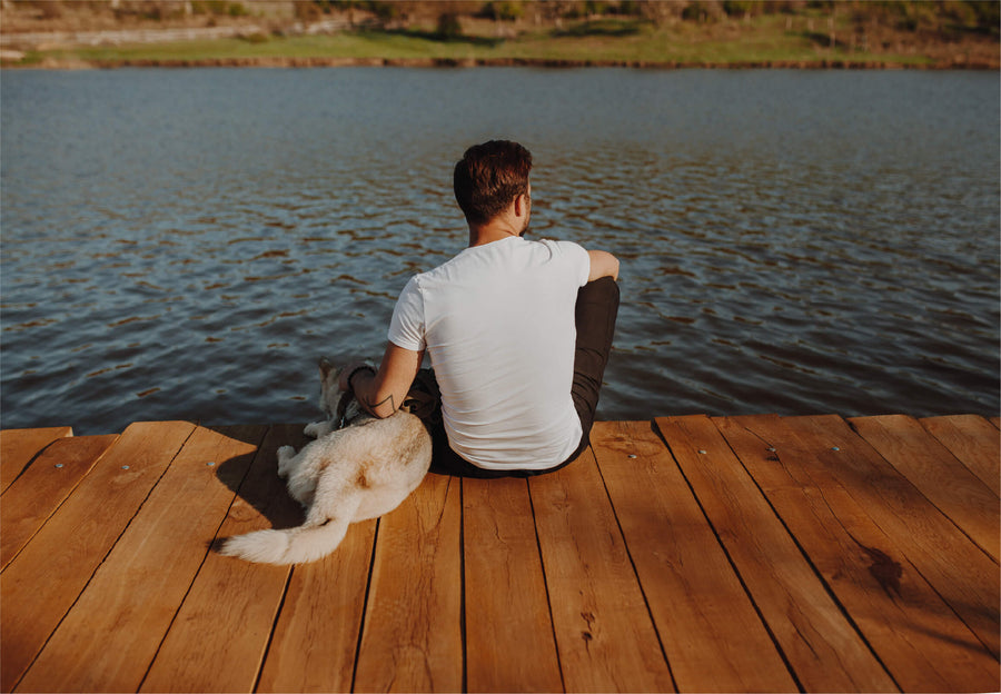 Calming Herbs for Dogs That Help Reduce Anxiety