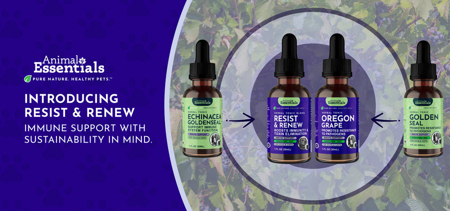 Announcing Resist & Renew: Immune Support with Sustainability in Mind