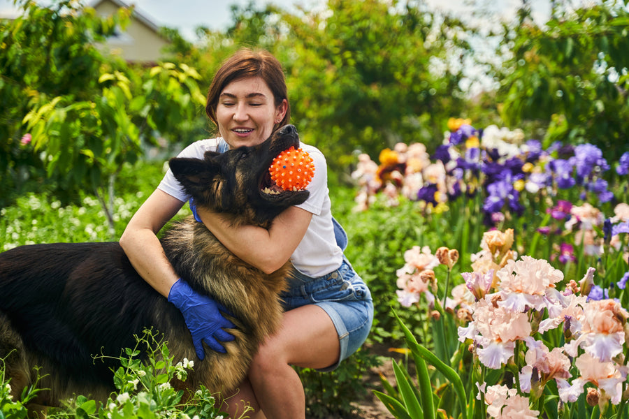 Why People Think Garlic Is Dangerous for Dogs