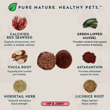 Joint Support Herbal Soft Chews | Herbal Hip + Joint Formula | 60 Count