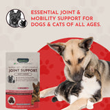 Joint Support Herbal Soft Chews | Herbal Hip + Joint Formula | 60 Count