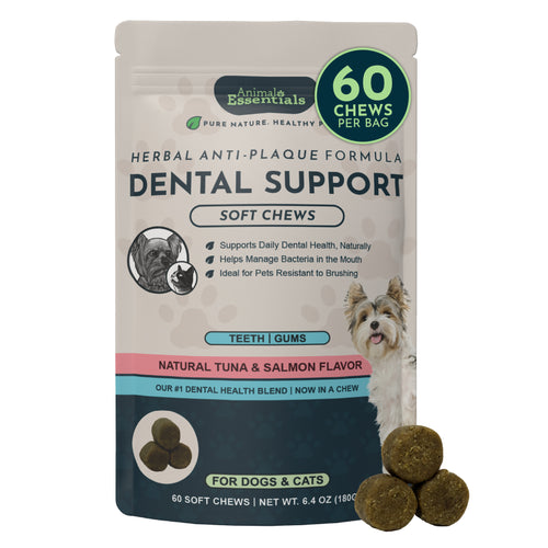(Sea-dent) Dental Support Herbal Soft Chews | Herbal Anti-Plaque Formula | 60 Count