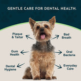 (Sea-dent) Dental Support Herbal Soft Chews | Herbal Anti-Plaque Formula | 60 Count