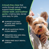 (Sea-dent) Dental Support Herbal Soft Chews | Herbal Anti-Plaque Formula | 60 Count