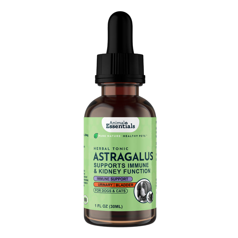 Animal Essentials Astragalus Herbal Formula for dogs and cats, made with organic astragalus root to support immune strength and long-term vitality.