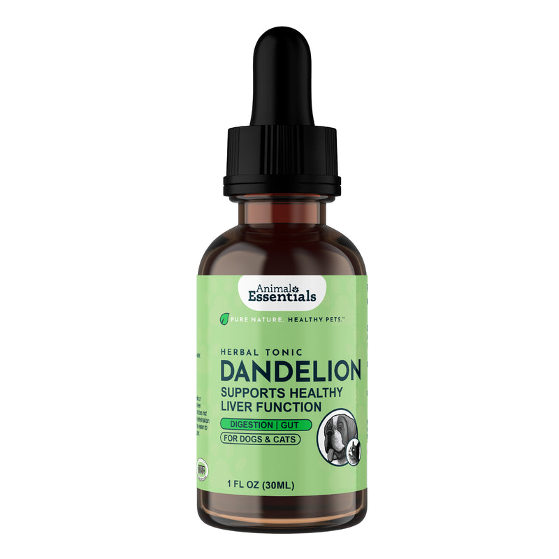 Dandelion Single Herb Tonic | Supports Healthy Liver Function