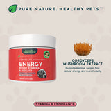 ENERGY jar beside cordyceps mushrooms and an ingredient description.