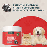 ENERGY jar beside a cat and Golden Retriever, with energy and vitality messaging.
