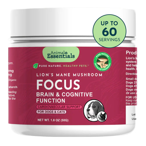 Animal Essentials FOCUS Lion’s Mane mushroom powder — image 1