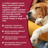 Sleeping puppy beside FOCUS messaging about lion's mane mushrooms, cognitive health and nervous system function.