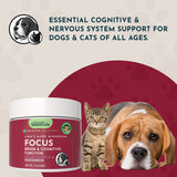 FOCUS jar beside a cat and Beagle, with cognitive and nervous system support messaging.