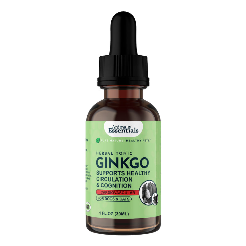 Ginkgo Single Herb Tonic | Supports Healthy Circulation & Cognition