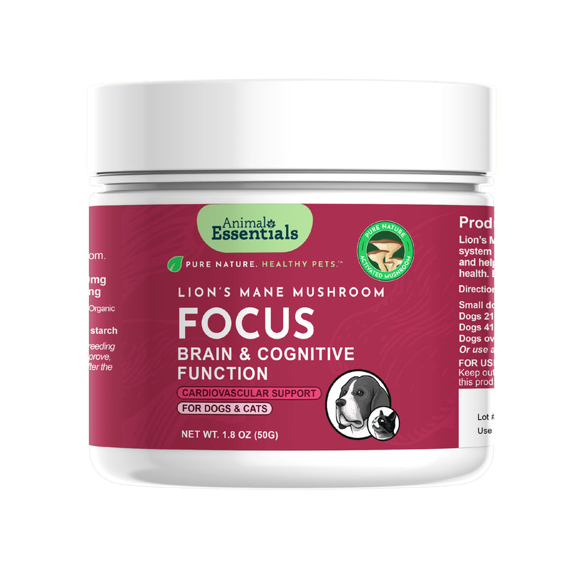 FOCUS Lion's Mane Mushroom Powder | Support Brain Health and Cognition