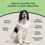 Animal Essentials Longevity — image 3