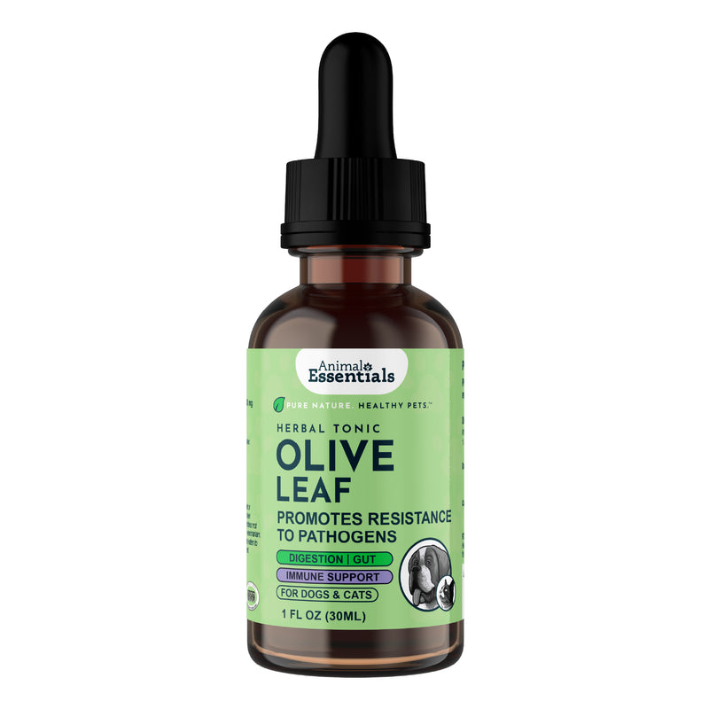 Animal Essentials Olive Leaf Herbal Formula for dogs and cats, crafted from whole organic olive leaf to support immune defense and overall wellness.