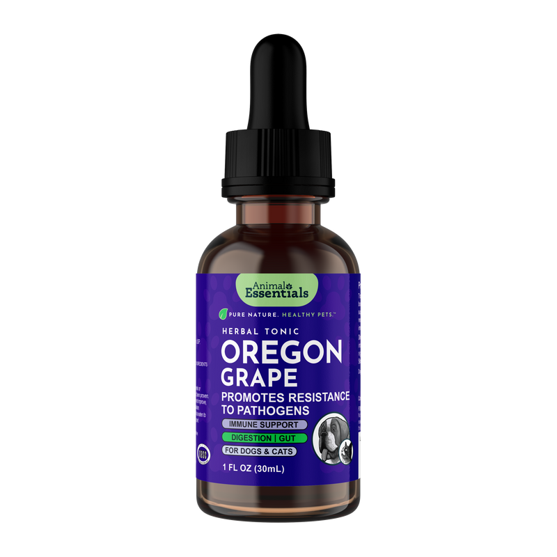 Oregon Grape Herbal Tonic | Promotes Resistance to Pathogens
