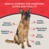 Alfalfa wellness infographic with a German shepherd, highlighting digestion, joint health and vitality.