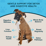 Seated boxer dog surrounded by Body Cleanse graphic callouts for digestive wellness, liver and kidney function, and whole-body balance.