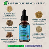 Body Cleanse bottle surrounded by labeled slippery elm, dandelion, yellow dock, turkey rhubarb and burdock ingredients.