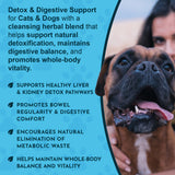 Body Cleanse detox and digestive-support graphic with benefit callouts beside a close-up of a boxer and its owner.