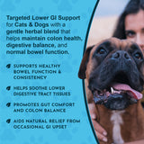 Colon Rescue Powder lower-GI support graphic with digestive and bowel-function callouts beside a boxer and its owner.