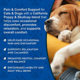Sleeping beagle beside Comfort Plus messaging about occasional discomfort, relaxation, restful comfort and mobility.