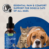 Comfort Plus dropper bottle beside a tabby kitten and resting beagle, under pain-and-comfort-support messaging.