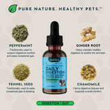 Daily Digestion bottle surrounded by labeled peppermint, fennel seed, ginger root and chamomile ingredients.