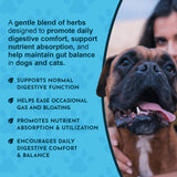 Daily Digestion support graphic with digestive-comfort and gut-balance callouts beside a boxer and its owner.