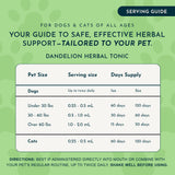 Animal Essentials Dandelion — image 4