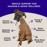 Animal Essentials DEFENSE — image 2