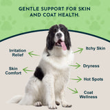 Black-and-white dog surrounded by Fido-Derm graphic callouts about skin comfort, itching, dryness, hot spots and coat wellness.