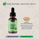 Garlic tonic bottle beside garlic cloves and powder, with an ingredient overview.