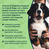 Dog beside a Garlic Herbal Tonic overview describing immune and digestive support.