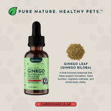 Ginkgo tonic bottle beside dried ginkgo leaf, with an ingredient overview.