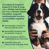 Dog beside a Ginkgo Herbal Tonic overview describing circulatory and cognitive support.