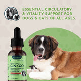 Ginkgo tonic bottle with a dog and cat, introducing circulatory and vitality support.