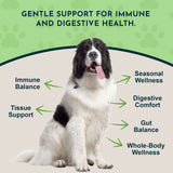 Black and white dog surrounded by Goldenseal graphic callouts about immune balance, digestive comfort, tissue support and wellness.
