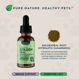 Goldenseal Herbal Tonic bottle beside a labeled pile of goldenseal root and text about the herb.