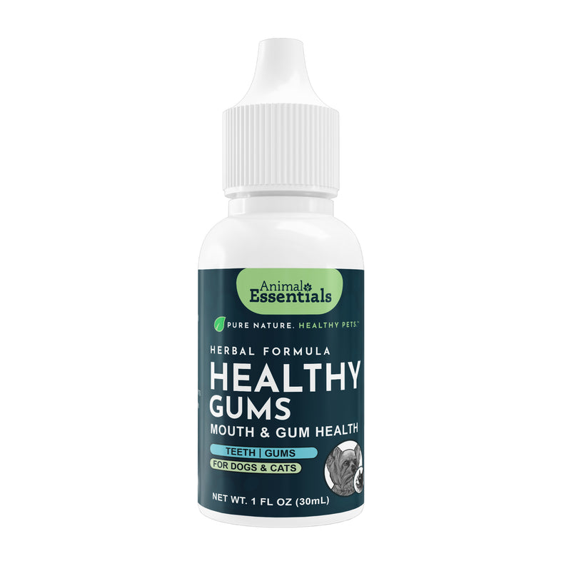 Animal Essentials Healthy Gums herbal formula, front of a white 1 fl oz squeeze bottle with a pointed dispensing cap.