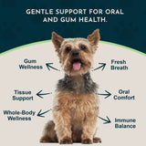 Yorkshire terrier surrounded by Healthy Gums graphic callouts for gum wellness, fresh breath, oral comfort and tissue support.