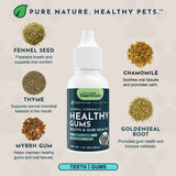 Healthy Gums bottle surrounded by labeled fennel seed, thyme, myrrh gum, chamomile and goldenseal root ingredients.